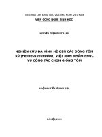 Nghiên cứu đa hình hệ gen các dòng tôm sú (penaeus monodon) việt nam nhằm phục vụ công tác chọn giống tôm 