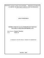 Nghiên cứu biến tính xenlulo từ bột giấy gỗ keo sản xuất trong nước và ứng dụng chế tạo thuốc phóng tt tiếng anh 