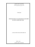 Nhận dạng hành vi của người tham gia giao thông dựa trên cảm biến điện thoại 