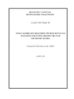 Nâng cao hiệu quả hoạt động tín dụng bán lẻ tại ngân hàng TMCP công thương việt nam chi nhánh cẩm phả 