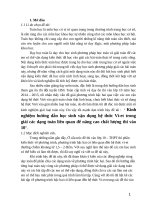 SKKN (2016) 3(lêhoainam)