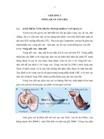 Nghiên cứu đánh giá kết quả phẫu thuật thay van hai lá bằng van cơ học st jude tại bệnh viện trung ương quân đội 108 