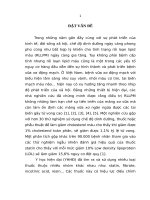 Nghiên cứu tính an toàn, tác dụng điều chỉnh rối loạn lipid máu trên thực nghiệm và lâm sàng của cốm hạ mỡ máu 