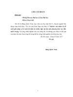 Nghiên cứu thấm và đề xuất giải pháp xử lý mất ổn định do thấm, đập vật liệu địa phương khu vực bắc miền trung 