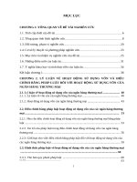 PHÁP LUẬT về HOẠT ĐỘNG sử DỤNG vốn CỦA NGÂN HÀNG THƯƠNG MẠI VIỆT NAM 