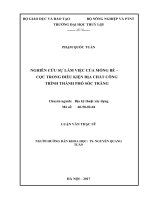 Nghiên cứu sự làm việc của móng bè   cọc trong điều kiện địa chất công trình thành phố sóc trăng 