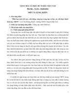 Phát huy tính tích cực, chủ động, sáng tạo trong dạy và học các tiết thực hành sinh học THPT 