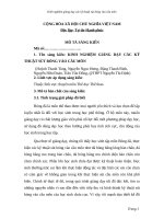 skkn kinh nghiệm giảng dạy các kỹ thuật sút bóng vào cầu môn 