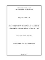 LUẬN văn THẠC sĩ hoàn thiện phân tích báo cáo tài chính công ty cổ phần xi măng vicem bút sơn
