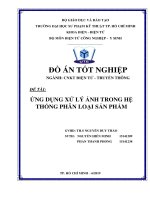 ỨNG DỤNG xử lý ẢNH TRONG hệ THỐNG PHÂN LOẠI sản PHẨM