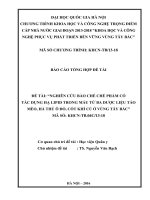 Nghiên cứu bào chế chế phẩm có tác dụng hạ lipid trong máu từ ba dược liệu táo mèo, hà thủ ô đỏ, cốt khí củ ở vùng tây bắc 