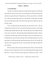 Báo cáo giải phápmột số biện pháp vận động học sinh có nguy cơ bỏ học trở lại lớp 