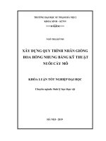 Xây dựng quy trình nhân giống hoa hồng Nhung bằng kỹ thuật nuôi cấy mô
