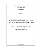 Bước đầu nghiên cứu phân loại chi Côi (Turpinia Vent.) ở Việt Nam
