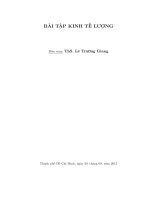 Bài tập kinh tế lượng