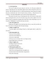 Tiểu luận  Tích Ten xơ