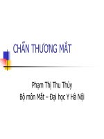 30 chấn thương mắt   BS phạm thị thanh thủy 