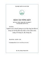 Nghiên cứu lý thuyết lượng tử các hiệu ứng âm – điện – từ trong các hệ bán dẫn một chiều và hai chiều (siêu mạng, hố lượng tử, dây lượng tử)  