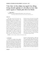 Việc làm và thu nhập của người lao động trong doanh nghiệp có vốn đầu tư trực tiếp nước ngoài ở Thành phố Hồ Chí Minh