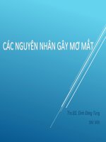 04 các nguyên nhân gây mờ mắt   BS đinh đăng tùng 
