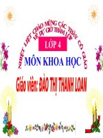 trao doi chat o thuc vat