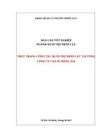 Báo cáo tốt nghiệp: Thực trạng công tác Quản trị nguồn nhân lực tại Tổng công ty cao su Đồng Nai