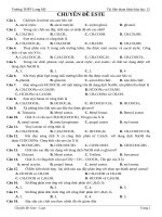 ESTE trong đề thi THPT