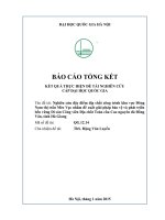 Nghiên cứu đặc điểm địa chất công trình khu vực đông nam thị trấn mèo vạc nhằm đề xuất giải pháp bảo vệ và phát triển bền vững di sản công viên địa chất toàn cầu 