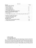 Sáng kiến kinh nghiệm trung học cơ sở tích hợp giáo dục bảo vệ môi trường trong môn giáo dục công dân THCS