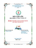 TÌM HIỂU LỊCH SỬ HÌNH THÀNH CẤU TRÚC NGUYÊN TỬ