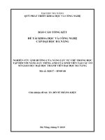 Nghiên cứu ảnh hưởng của năng lực tự chủ trong học tập đối với năng lực tiếng anh của sinh viên tại các cơ sở giáo dục đại học thành viên đại học đà nẵng tt 