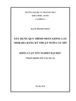 Xây dựng quy trình nhân giống hoa lan mokara bằng kỹ thuật nuôi cấy mô