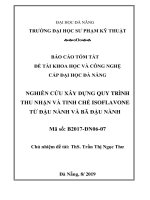 Nghiên cứu xây dựng quy trình thu nhận và tinh chế isoflavone từ đậu nành và bã đậu nành tt 