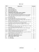 Một số giải pháp nâng cao chất lượng đội ngũ giáo viên trường mầm non quảng hưng   thành phố thanh hóa 