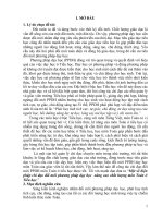 Một số biện pháp chỉ đạo đổi mới phương pháp dạy học nâng cao chất lượng môn toán ở tiểu học 