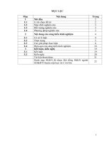 Một số biện pháp rèn kỹ năng sống cho học sinh lớp 3a ở trường tiểu học nga liên 1 thông qua hoạt động NGLL 