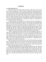 Một số biện pháp giúp học sinh lớp 5 học bài thể dục phát triển chung đạt kết quả cao  