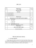 Một số phương pháp giúp học sinh năng khiếu lớp 5 giải các dạng bài tính nhanh, tính nhẩm về dãy phân số viết theo quy luật 