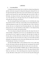 Một số giải pháp xây dựng thư viện thân thiện ở trường TH xuân lộc 