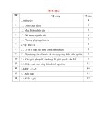 Một số kinh nghiệm trong triển khai và và thực hiện chương trình công tác đội và phong trào thiếu nhi tại liên đội trường tiểu học thị trấn, huyện cẩm thủy 