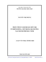 Phân tích và đánh giá mức độ ô nhiễm đồng, chì trong bụi đường tại thành phố Bắc Ninh (Luận văn thạc sĩ)