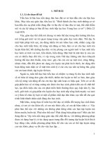 Một số biện pháp nâng cao chất lượng môn thể dục cho học sinh lớp 5 trường tiểu học điền lư 