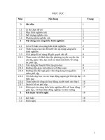 Một số biện pháp làm tốt công tác phổ cập giáo dục ở trường TH nga thủy  