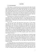 Nâng cao chất lượng hoạt động đội trong các trường tiểu học ở vùng cao  