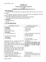 Giáo án lớp 1 tuần 13 năm học 2019 2020  