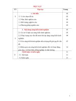 Một số biện pháp nhằm nâng cao chất lượng dạy học tích hợp lồng ghép giáo dục về chủ quyền biển đảo cho học sinh lớp 