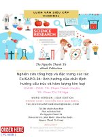 (Bản thảo) nghiên cứu tổng hợp và đặc trưng xúc tác FeSAPO 34 ảnh hưởng của chất định hướng cấu trúc và hàm lượng kim loại 