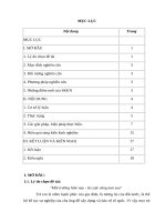 Một số biện pháp nâng cao hiệu quả công tác xã hội hóa giáo dục nhằm nâng cao chất lượng giáo dục toàn diện ở trường mầm non ba đình   thành phố thanh hoá 