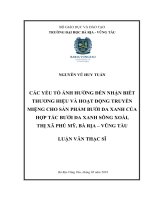 Các yếu tố ảnh hưởng đến nhận biết thương hiệu và hoạt động truyền miệng cho sản phẩm bưởi da xanh của hợp tác bưởi da xanh sông xoài, thị xã phú mỹ , bà rịa  vũng tàu (luận văn thạc sĩ) 