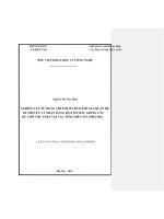 Nghiên cứu sử dụng chỉ thị ITS để đánh giá quan hệ di truyền và nhận dạng một số mẫu giống cây óc chó thu thập tại các tỉnh miền núi phía bắc 